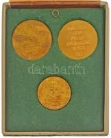 Szovjetunió 1971-1974. Pátriárkai látogatásra kiadott 3db klf aranyozott bronz emlékérem kissé sérül...