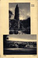 1941 Balf (Sopron), Erdei részlet, látkép. Hangya szövetkezet kiadása (lyuk / pinhole)