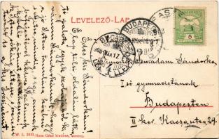 1908 Isaszeg, M. kir. állami elemi iskola. Haas Géza kiadása. W.L. 2433. (EB)