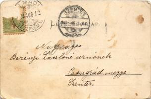 1905 Balatonalmádi, Balaton-öblök. Pósa Endre kiadása (EM)