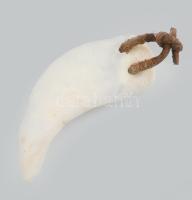 Amulett.
Látványos régi ázsiai ,,Tigrisfog" buddhista amulett, hordott, csiszolt tömör csont, ...