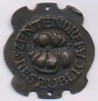 Asszonyi Tamás (1942- ) DN Szentendrei Res Publica / Három buznyák bronz emlékérem (36x35mm) T:AU