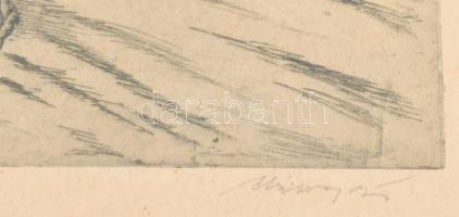 Olvashatatlan jelzéssel: PAraszt, gunyában. rézkarc, papír, jelzett, üvegezett keretben 17x23 cm