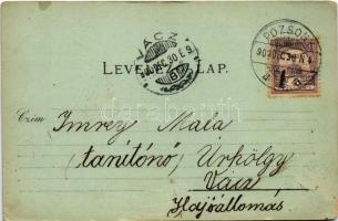 1900 Pozsony, Pressburg, Bratislava; emlékmű, híd, vár, színház / monument, castle, bridge, theatre....