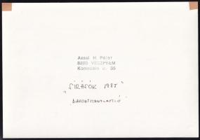 1985 Assai H. Péter: Sírásók, Balatonszentlászló, feliratozott, pecséttel jelzett vintage fotóművész...