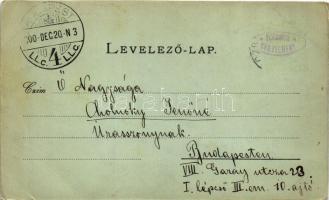 1900 Selmecbánya, Schemnitz, Banská Stiavnica; Üdvözlet Szitnyáról / Sitno / mountain (fa)