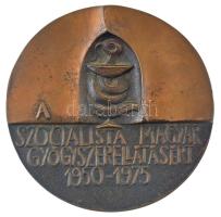 Ligeti Erika (1934-2004) 1975. "A Szocialista Magyar Gyógyszerellátásért 1950-1975" kétold...