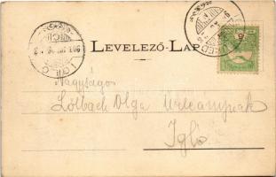 1903 Iglófüred, Bad Zipser Neudorf, Spisská Nová Ves Kupele, Novovesské Kúpele; Siementzky villa. Wl...