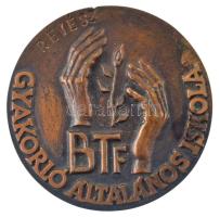 Rajki László (1939-) DN "Táncsics- díj / BTF Gyakorló Általános Iskola" (81mm) T:XF durva ...