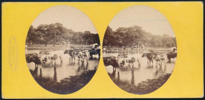 cca 1900 Anglia, vintage sztereó fotográfia, feliratozva, 8,1x17,2 cm