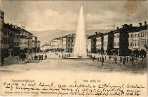 1902 Besztercebánya, Banská Bystrica; Béla király tér, szökőkút, Kohn Ignác, Holesch üzlete. Walther Adolf és Társai kiadása / square, fountain, shops (EK)