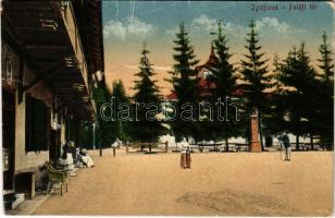 Iglófüred, Bad Zipser Neudorf, Spisská Nová Ves Kupele, Novovesské Kúpele; Petőfi tér. Wlaszlovits Gusztáv kiadása / square (vágott / cut)