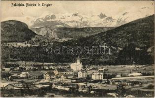 Bohinjska Bistrica, Triglav / general view, mountains (Rb)