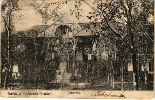 1906 Borosznófürdő, Brusno-kúpele (Borosznó, Brusznó, Brusno); Lajos lak. Lechnitzky Otto fénynyomdája kiadása 107. sz. / villa, spa (EB)