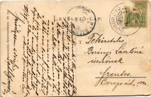 1906 Borosznófürdő, Brusno-kúpele (Borosznó, Brusznó, Brusno); Lajos lak. Lechnitzky Otto fénynyomdá...