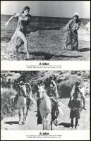 cca 1980 ,,A lator" című olasz francia film jelenetei és szereplői, 12 db produkciós filmfotó n...