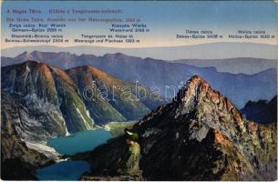 Tátra, Magas-Tátra, Vysoké Tatry; Kilátás a Tengerszem-csúcsról / Aussicht von der Meeraugspitze / general view