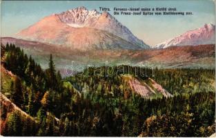 Tátra, Magas-Tátra, Vysoké Tatry; Ferenc József-csúcs a Klotild útról. Feitzinger Ede Ph. No. 262. / Die Franz Josef Spitze vom Klotildenweg aus / mountain peak (EK)