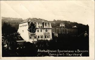 Hartberg, Alkoholfreies Speisehaus u. Pension Gerngross / hotel, Friedrich Erben photo (creases)