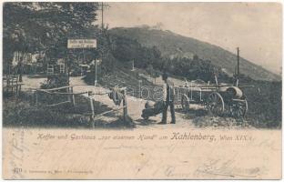 1902 Wien, Vienna, Bécs XIX. Kahlenberg, Kaffee und Gasthaus zur eisernen Hand / cafe and restaurant (R)