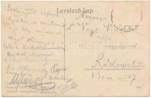 Pécs, Rácváros-telep, Pompár Dóri "Fehér hollóhoz" címzett vendéglőjéből, kert (kopott sar...