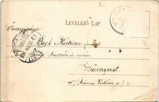 1905 Vecsés, Községház. Herbacsek H. és fia kiadása (Rb)