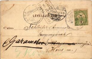 1904 Zsámbék, kilátás a toronyból. Back Gusztáv kiadása (fa)