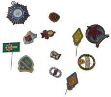 12db-os vegyes kitűző, jelvény, sapkajelvény tétel, közte "Tessedik Sámuel Általános Iskola Albertirsa" műgyantás fém iskolajelvény T:XF