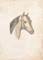Hottinger, Johann Konrad (1788-1827) után, Instlin litográfiája: Ló portréja. Litográfia, papír, jelzett a metszeten. Feltekerve, foltos, lapszéli szakadással, törésnyomokkal, 23×20 cm