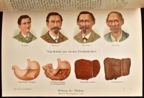 Die Frau als Hausärztin - Das goldene Frauenbuch Stuttgart, Süddetsches Verlag. 875p. Kiadói festett...