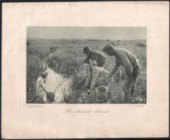 cca 1916 Az Érdekes újság harctéri képei 5 db nagy méretű nyomat 36x29 cm Szakadásokkal
