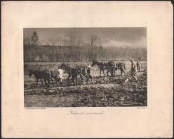 cca 1916 Az Érdekes újság harctéri képei 5 db nagy méretű nyomat 36x29 cm Szakadásokkal