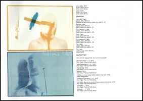 Hajas Tibor 1946-1980. Emlékkiállítás / memorial exhibition. Szabó Júlia tanulmányával. Székesfehérv...