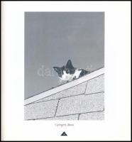 4 db fotóművészeti katalógus: Juan Gyenes, Vigadó Galéria, 1986. + Szerelmem tánc! Eifert János fotó...