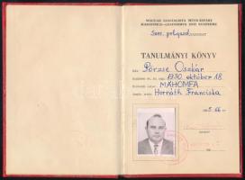 1950 Szeszforgalmi Nemzeti Vállalat igazolvány