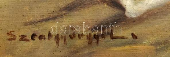 Szentgyörgyi L jelzéssel: Krisztus. Olaj, vászon. Sérült. 30x40 cm