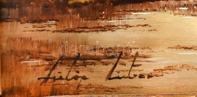 Fülöp Tibor (1961-): Libapásztorlány. Olaj, fa. Jelzett. Fakeretben. 13x18 cm