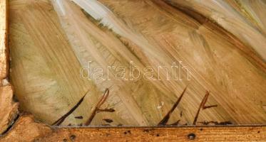 Fülöp Tibor (1961-): Csendélet. Olaj, fa. Jelzett. Dekoratív fakeretben. 15,5x22 cm