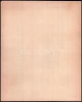 Meitner László (1900 - 1960): Önarckép, Hidegtű, papír. Jelzett, paszpartuban, hátoldalán autográf f...