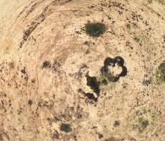 Antik ezüst (Ag) fűszerkínáló edény kanállal, jelzéssel, kopással, h: 7 cm, d: 5 cm, nettó: 33,5 g