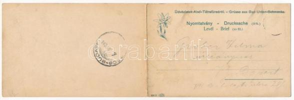 1903 Alsótátrafüred, Unter-Schmecks, Dolny Smokovec (Magas-Tátra, Vysoké Tatry); Két részes kihajtha...