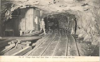 Village Main Reef gold mine