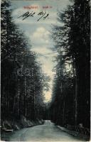 1912 Stószfürdő, Stoósz-fürdő, Kúpele Stós; Fürdői út. Wlaszlovits Gusztáv kiadása / spa, road (EK)