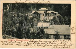 1904 Stószfürdő, Stoósz-fürdő, Kúpele Stós; Budapest nyaraló. Wlaszlovits Gusztáv kiadása / spa, villa (EK)