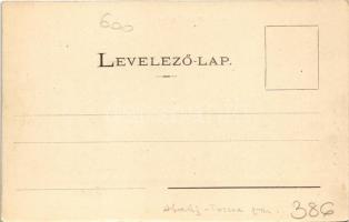 Stószfürdő, Stoósz-fürdő, Kúpele Stós; látkép. Wlaszlovits Gusztáv kiadása / spa, general view