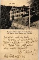 1927 Stószfürdő, Stoósz-fürdő, Kúpele Stós; Tátra villa / spa, villa (fl)