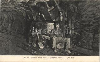 Robinson gold mine