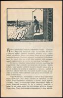 Dr. Viski Károly: Aranyék háza. Nagyvárad, 1917, Sonnenfeld Adolf. 23 p. Kiadói papírkötés, kissé hu...