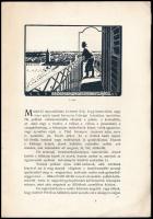 Dr. Viski Károly: Régimódi házak Szalontán. Milyen lehetett a költő szülőháza. Tanítványainak írta é...