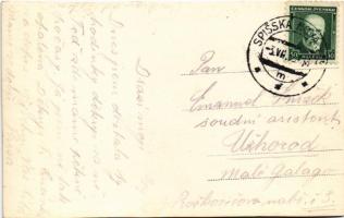 1928 Iglófüred, Spisská Nová Ves Kupele, Novovesské Kúpele; fürdő, fürdőzők / spa, bathers. photo (v...